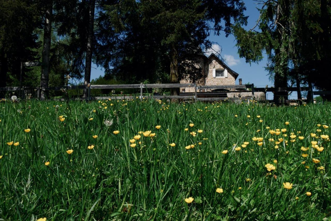 Manoir De Chantemerle Sainte-Fortunade Esterno foto