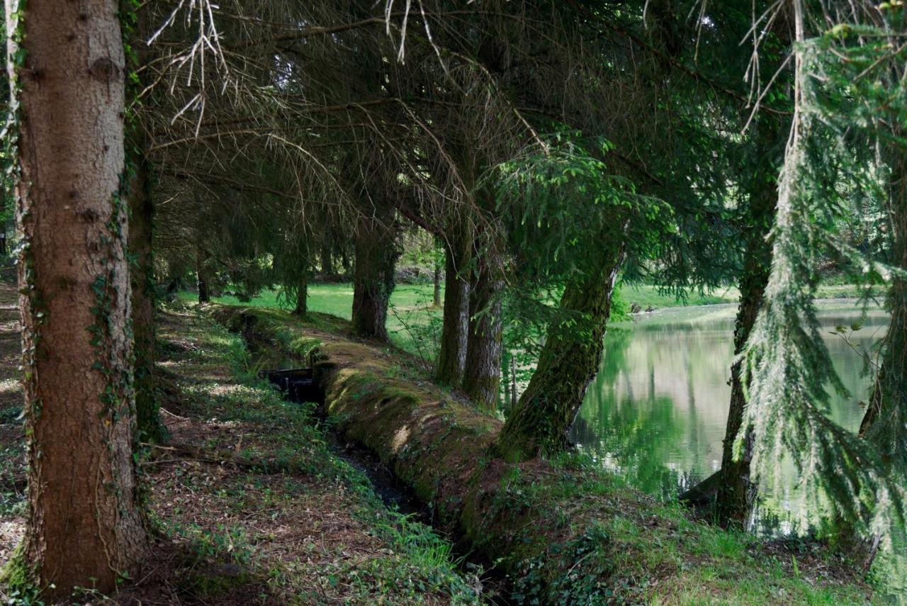 Manoir De Chantemerle Sainte-Fortunade Esterno foto