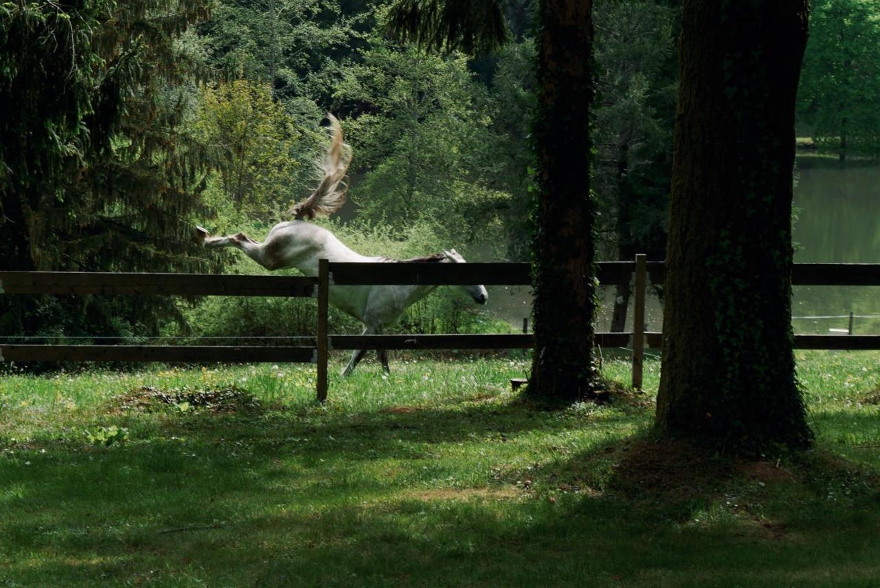 Manoir De Chantemerle Sainte-Fortunade Esterno foto